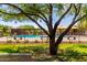 Inviting community pool area with seating under a tree at 17320 W Daley Ln, Surprise, AZ 85387