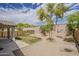 Landscaped backyard features low-maintenance desert landscaping and mature trees at 1744 W Brookwood Ct, Phoenix, AZ 85045