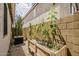 This backyard features a garden, cactus, and is surrounded by a block wall at 1744 W Brookwood Ct, Phoenix, AZ 85045