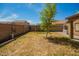 Spacious backyard with minimal landscaping, perfect for customization and outdoor activities at 22191 W Tonto St, Buckeye, AZ 85326
