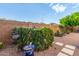 Backyard garden area featuring raised garden beds, mature landscaping, and a charming bird bath at 4089 E Peach Tree Dr, Chandler, AZ 85249