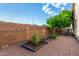 Backyard garden area featuring raised garden beds, mature landscaping, and a producing citrus tree at 4089 E Peach Tree Dr, Chandler, AZ 85249