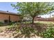 Nice home backyard with a patio, mature shade tree, and room to relax and enjoy outdoor living at 4402 N 79Th Dr, Phoenix, AZ 85033