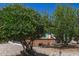 Green trees adorn the front of this home, complemented by desert landscaping at 4402 N 79Th Dr, Phoenix, AZ 85033