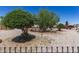 Home's front yard is landscaped with crushed gravel and vibrant green trees at 4402 N 79Th Dr, Phoenix, AZ 85033