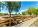 Scenic street view with a wooden fence and desert landscaping under a clear sky at 4495 E Woodside Way, Gilbert, AZ 85297