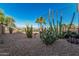 Low maintenance desert landscaping in the backyard, and a view of the surrounding desert landscape beyond the fence at 582 W Stirrup Ln, San Tan Valley, AZ 85143
