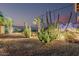 Picturesque backyard featuring desert landscaping with majestic cacti, palm trees, and gravel providing low maintenance beauty at 582 W Stirrup Ln, San Tan Valley, AZ 85143