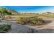 Picturesque view of a lush golf course with rolling hills, mature trees, and a scenic backdrop of neighboring homes at 582 W Stirrup Ln, San Tan Valley, AZ 85143