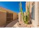 Home exterior showing desert landscaping with a large cactus and a stucco wall under a clear blue sky at 5953 W Aurora Dr, Glendale, AZ 85308