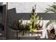 Unique outdoor tub filled with cacti and succulents, adding a whimsical touch to the exterior at 6314 N 14Th St, Phoenix, AZ 85014