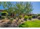Backyard with lush landscaping, a green lawn, and mature trees provides privacy and beauty at 650 E Myrtle Pass, Queen Creek, AZ 85140