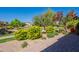 Beautiful backyard with lush landscaping, shrubs, and a patio at 650 E Myrtle Pass, Queen Creek, AZ 85140