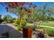 A tranquil backyard with a water feature and lush greenery offers a serene escape at 650 E Myrtle Pass, Queen Creek, AZ 85140