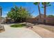 Spacious backyard features a stone-lined path, grass and gravel areas, mature trees, and block wall at 81 E Rock Wren Dr, San Tan Valley, AZ 85143