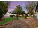Manicured backyard with brick-lined garden beds, lush grass, and established trees at 8228 E Oak St, Scottsdale, AZ 85257