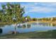 Picturesque community pond with a fountain, framed by lush greenery, creating a serene and inviting atmosphere at 880 E Wimpole Ave, Gilbert, AZ 85297