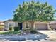 Charming single-story home with a large shade tree in the front yard and well manicured landscaping at 10123 E Pampa Ave, Mesa, AZ 85212