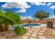 Landscaped backyard with pool, spa, stone path, palm trees, and green shrubs at 1905 E Palomino Dr, Gilbert, AZ 85296