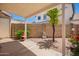 Private backyard patio with stucco wall and mature trees creating a serene outdoor space at 2039 W Ronald Rd, Phoenix, AZ 85029