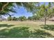Beautiful community park offering a vast open green space with mature trees, perfect for outdoor activities and relaxation at 11822 W Softwind Dr, Sun City, AZ 85373