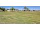 Community park providing a vast green space with scattered trees and pathways, perfect for outdoor activities and leisurely strolls at 11822 W Softwind Dr, Sun City, AZ 85373