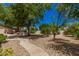 Mature trees and gravel landscaping surround a paved walkway in the backyard at 15460 W Amelia Dr, Goodyear, AZ 85395