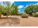 Spacious backyard showcasing gravel, mature trees, and a pool at 16642 N 35Th Way, Phoenix, AZ 85032