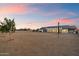 Large outdoor space surrounding a modern home with desert landscaping and a newly planted tree at 3323 N 81St St, Mesa, AZ 85207