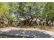 Landscaped backyard with a neutral ground cover and mature trees, perfect for outdoor living and entertaining at 865 E Rojo Ct, Gilbert, AZ 85297