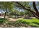 Beautifully landscaped street with mature trees, showcasing a serene neighborhood environment at 865 E Rojo Ct, Gilbert, AZ 85297
