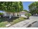 Beautiful landscaping around a single story home with a large shade tree at 1001 N Quail Ln, Gilbert, AZ 85233
