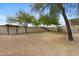 Spacious backyard featuring desert landscaping, block fencing and mature trees at 204 S Valle Verde --, Mesa, AZ 85208