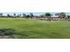 Expansive golf course view with mature trees and serene pond enhancing the community's natural beauty at 21532 N 65Th Ave, Glendale, AZ 85308