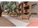 Picturesque community walkway near apartment buildings with lush, mature trees at 3031 N Civic Center Plz # 340, Scottsdale, AZ 85251