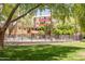 Exterior view of the community pool area surrounded by lush greenery and multi-story residential buildings at 349 E Thomas Rd # E401, Phoenix, AZ 85012