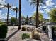 Community entrance featuring well-maintained landscaping and mature palm trees at 9555 E Raintree Dr # 1055, Scottsdale, AZ 85260