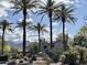 Scenic community featuring desert landscaping, tall palm trees and mountain views at 9555 E Raintree Dr # 1055, Scottsdale, AZ 85260