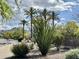 Beautiful desert landscaping with ocotillo cactus and views of the mountains in the background at 9555 E Raintree Dr # 1055, Scottsdale, AZ 85260