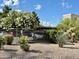 Charming parking area surrounded by lush desert flora and vibrant flowering trees at 9555 E Raintree Dr # 1055, Scottsdale, AZ 85260