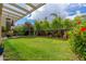 Lush green backyard featuring a well-maintained lawn, landscaping, and privacy fencing at 2219 W Catalina Dr, Phoenix, AZ 85015