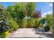 Back patio with greenery, trees, and other vegetation at 2219 W Catalina Dr, Phoenix, AZ 85015