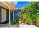 Covered porch with dark blue exterior and lots of bright, colorful landscaping at 2219 W Catalina Dr, Phoenix, AZ 85015