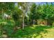 Lush landscaping and trees in the front yard at 2219 W Catalina Dr, Phoenix, AZ 85015
