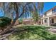 Expansive backyard with covered patio, outdoor kitchen, and lush landscaping at 10945 E Storia Ave, Mesa, AZ 85212