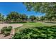 Beautiful community park with mature trees, grassy fields, and paved walking paths, perfect for outdoor activities at 10945 E Storia Ave, Mesa, AZ 85212