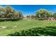 Expansive community park featuring lush green grass, mature trees, and a well-maintained landscape at 10945 E Storia Ave, Mesa, AZ 85212