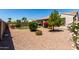 Spacious backyard with desert landscaping and mature plants, perfect for outdoor living at 14921 W Luna S Dr, Litchfield Park, AZ 85340
