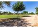 Scenic community park featuring lush green lawns, walking paths, and mature trees, providing a serene outdoor experience at 14921 W Luna S Dr, Litchfield Park, AZ 85340