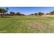 Vast green space within the community, perfect for recreation and leisurely strolls amidst well-manicured lawns and trees at 14921 W Luna S Dr, Litchfield Park, AZ 85340